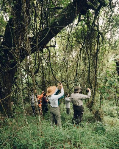 people taking photo in middle of woods during daytimr