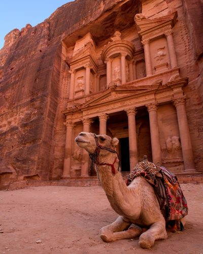 brown camel in front of brown rock formation during daytime